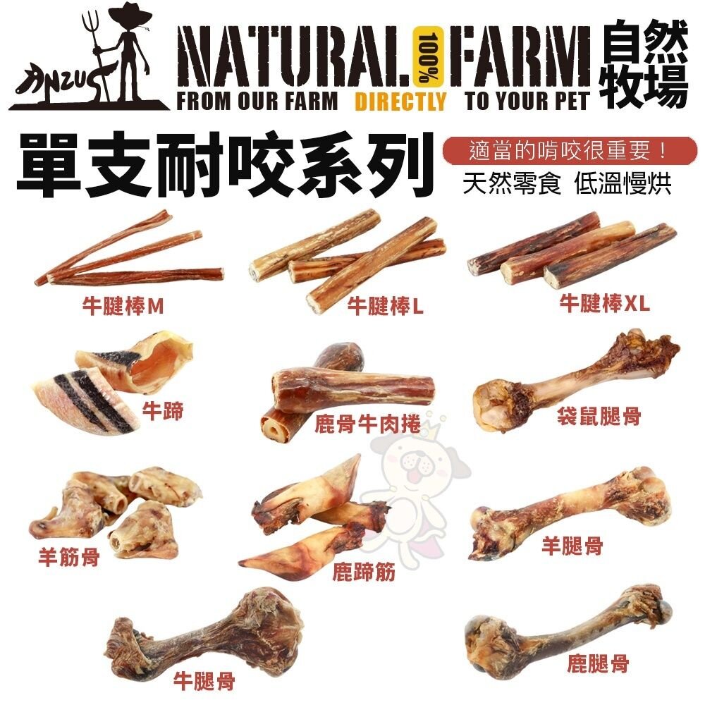 101852802-Natural Farm 自然牧場 單支耐咬全系列 低溫慢烘 狗潔牙骨 狗零食『WANG』
