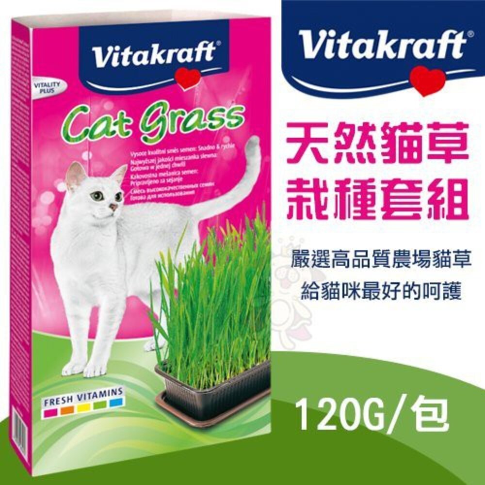 Vitakraft 天然貓草栽種套組 貓草鬆鬆粉20g 貓草盆栽 貓草粉 貓草 貓零食『WANG』-圖片-2