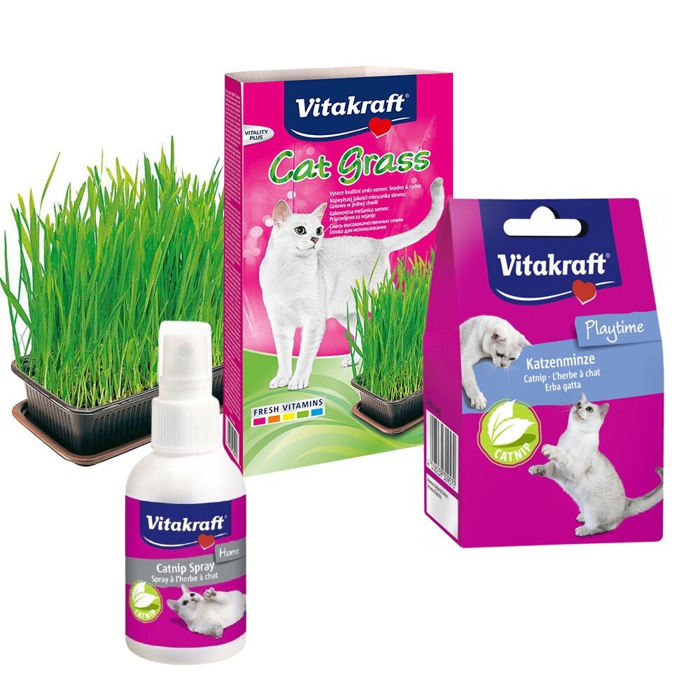 1064858904-Vitakraft  天然貓草栽種套組 貓草鬆鬆粉20g 貓草盆栽 貓草粉 貓草 貓零食『WANG』