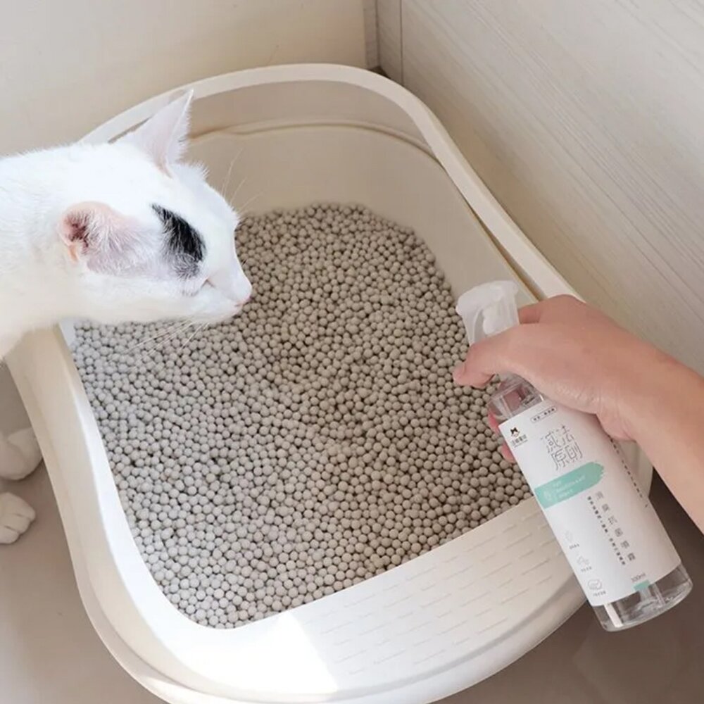 DogCatStar 汪喵星球 消臭抗菌噴霧 植萃洗碗酵素 補充瓶 洗碗精 人寵可用 除臭噴霧 環境清潔『WANG』-圖片-3