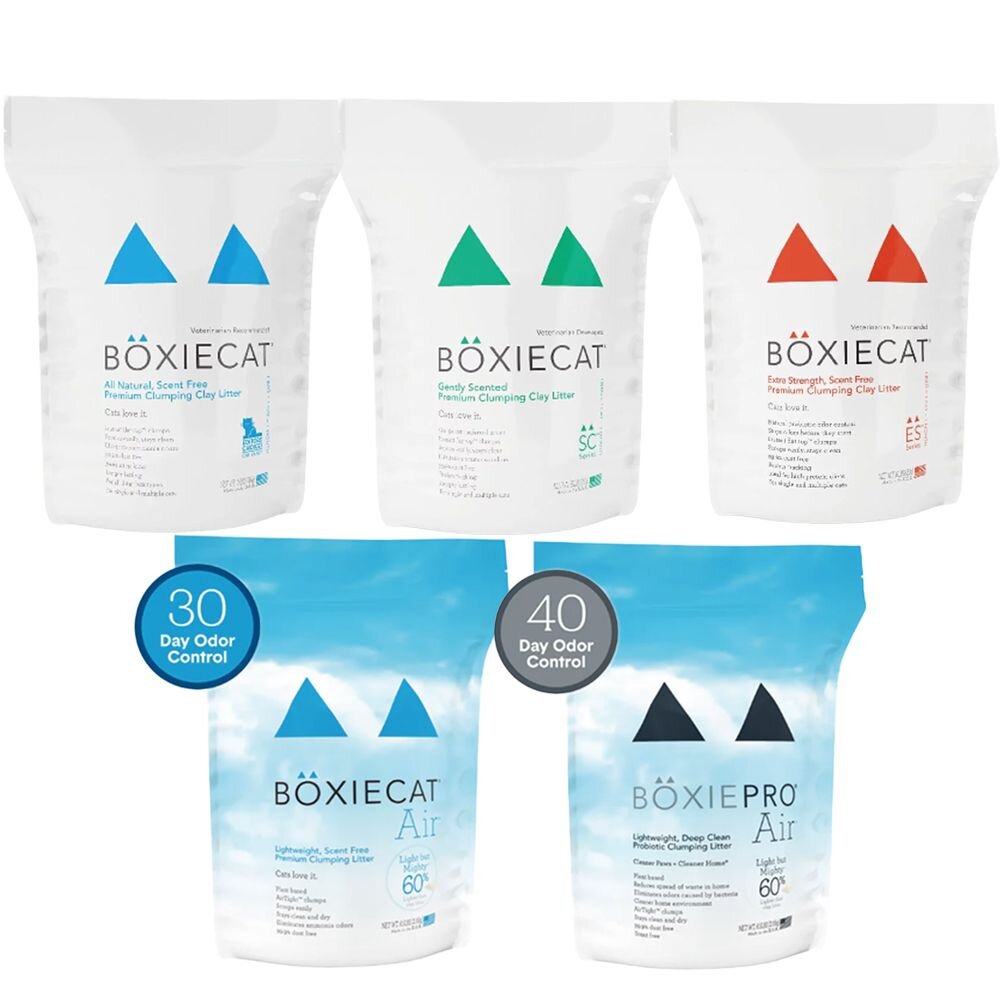 BOXIECAT 博識貓 貓砂【免運】黏土凝結貓砂 AIR超植砂 全規格 無粉塵 專利凝結生物砂『WANG』-圖片-1