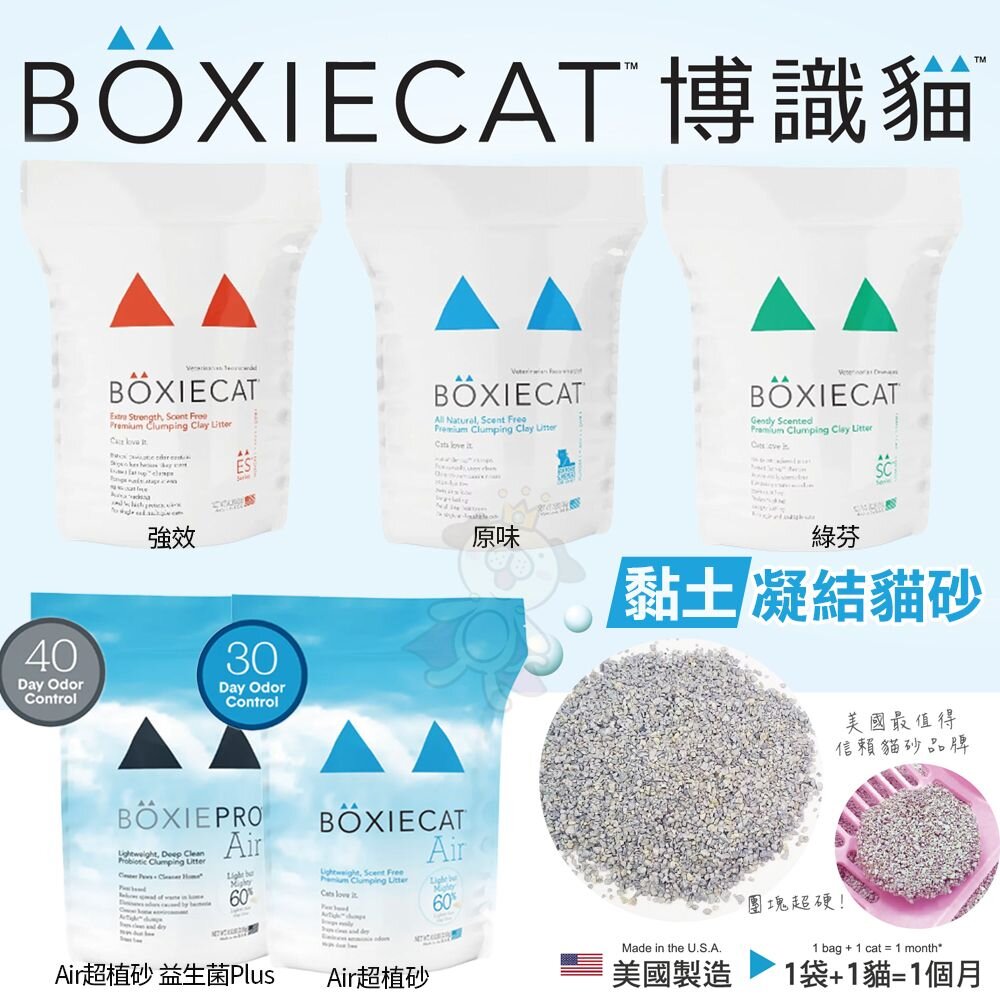 BOXIECAT 博識貓 貓砂【免運】黏土凝結貓砂 AIR超植砂 全規格 無粉塵 專利凝結生物砂『WANG』-圖片-2