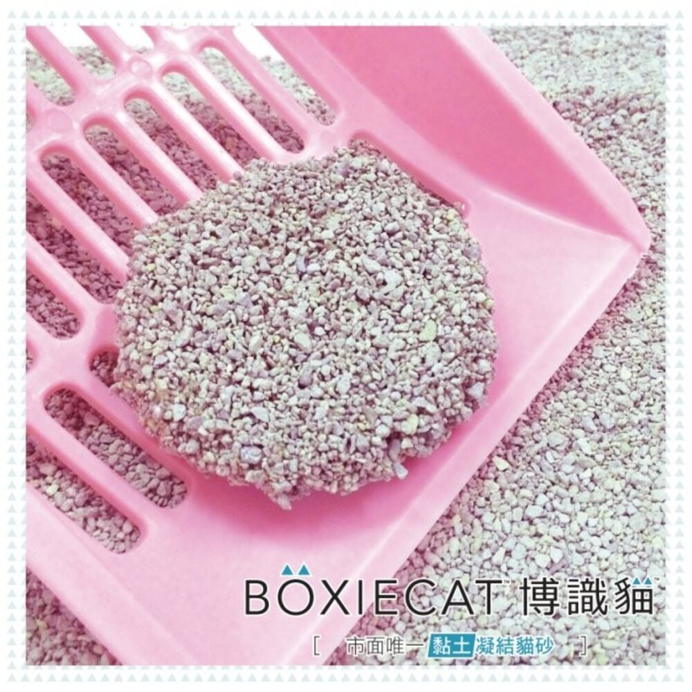 BOXIECAT 博識貓 貓砂【免運】黏土凝結貓砂 AIR超植砂 全規格 無粉塵 專利凝結生物砂『WANG』-圖片-6
