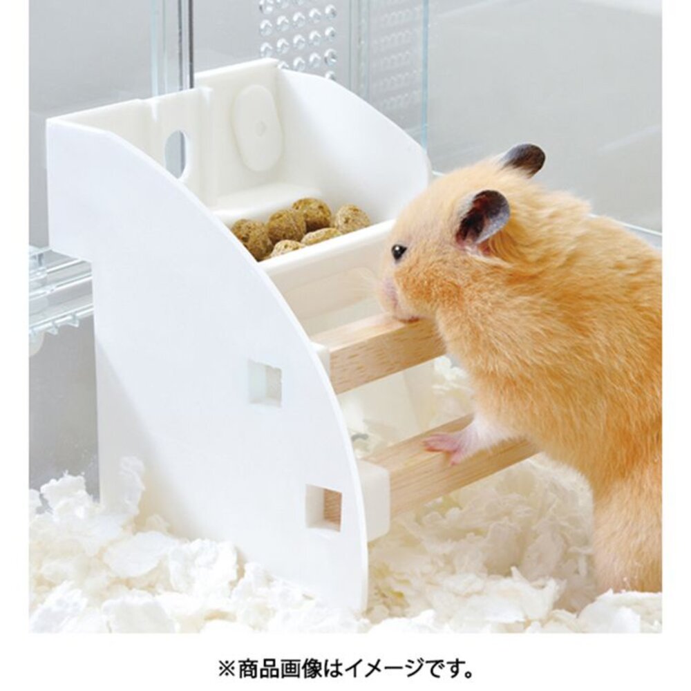 GEX 愛鼠居住用品 中島櫃餐桌 浴砂屋 壓克力隧道 濕度顯示器 棉紙巾 小動物用『WANG』-圖片-8