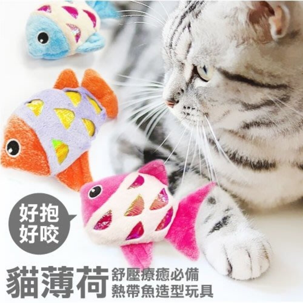 icat 寵喵樂 YO升降球 韓國零食玩具 小抱枕 熱帶魚 逗貓玩具 貓薄荷 貓草玩具 貓玩具『WANG』-圖片-4