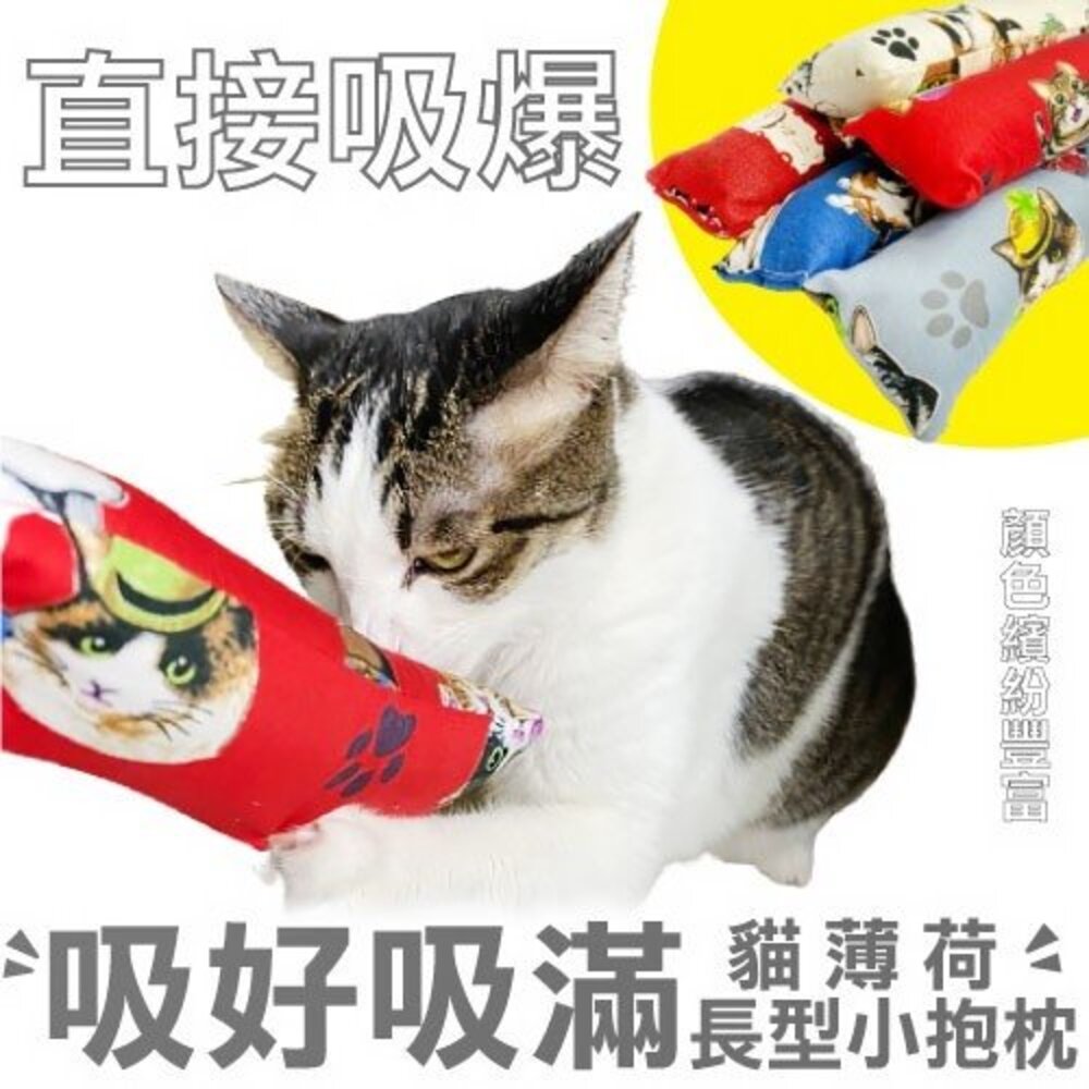 icat 寵喵樂 YO升降球 韓國零食玩具 小抱枕 熱帶魚 逗貓玩具 貓薄荷 貓草玩具 貓玩具『WANG』-圖片-6