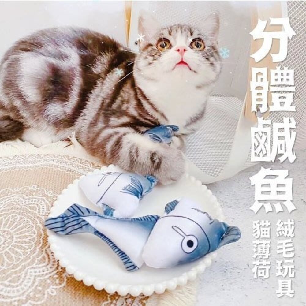 icat 寵喵樂 貓草玩具 水果 熱帶魚 月餅 逗貓玩具 貓薄荷 貓草玩具 隨機出貨『WANG』-圖片-9