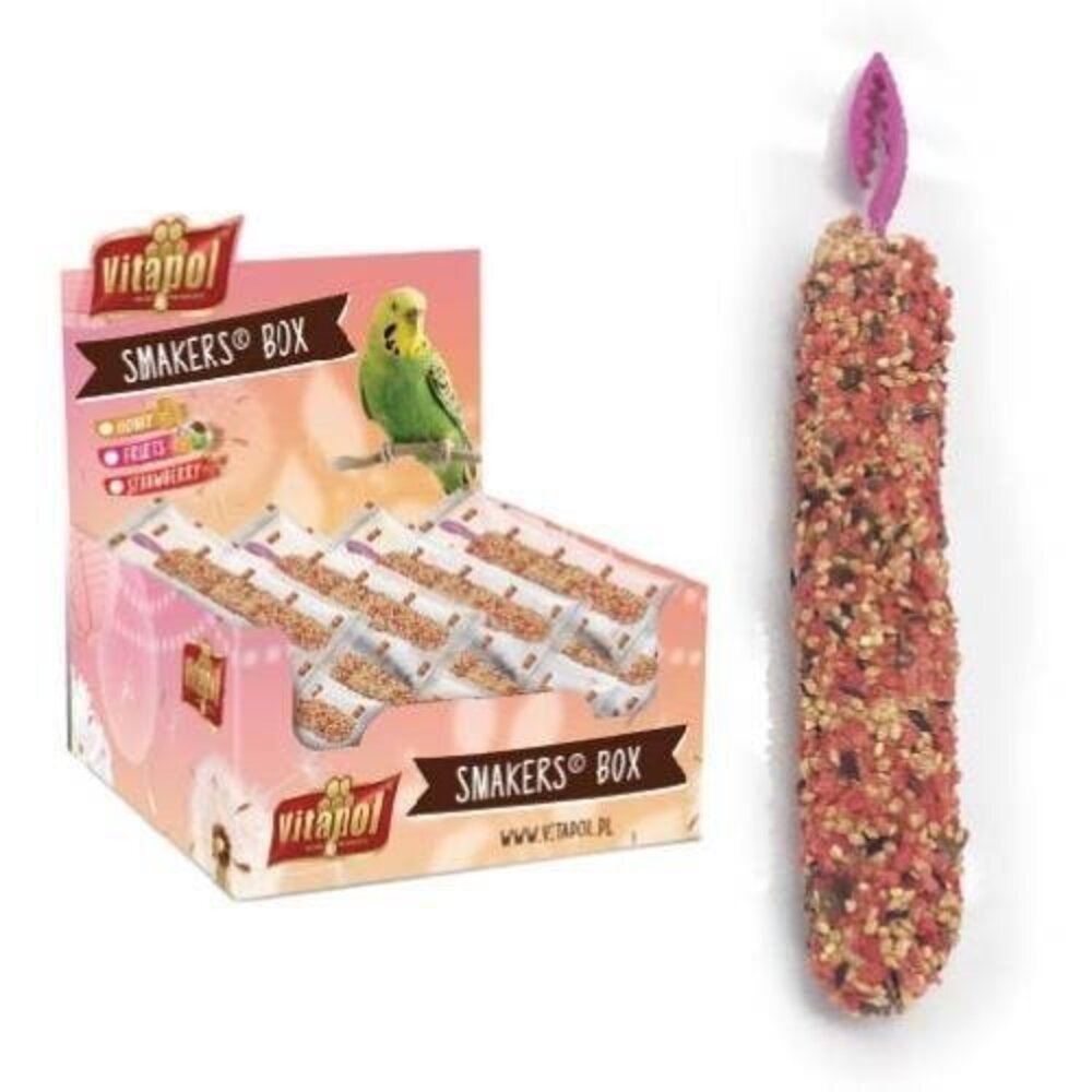 Vitapol 小型鸚鵡棒棒糖 45g 綜合水果|草莓 小型鸚鵡零食 鳥零食 鳥點心『WANG』-圖片-1