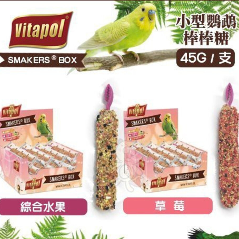 1137179828-Vitapol 小型鸚鵡棒棒糖 45g  綜合水果｜草莓 小型鸚鵡零食 鳥零食 鳥點心『WANG』