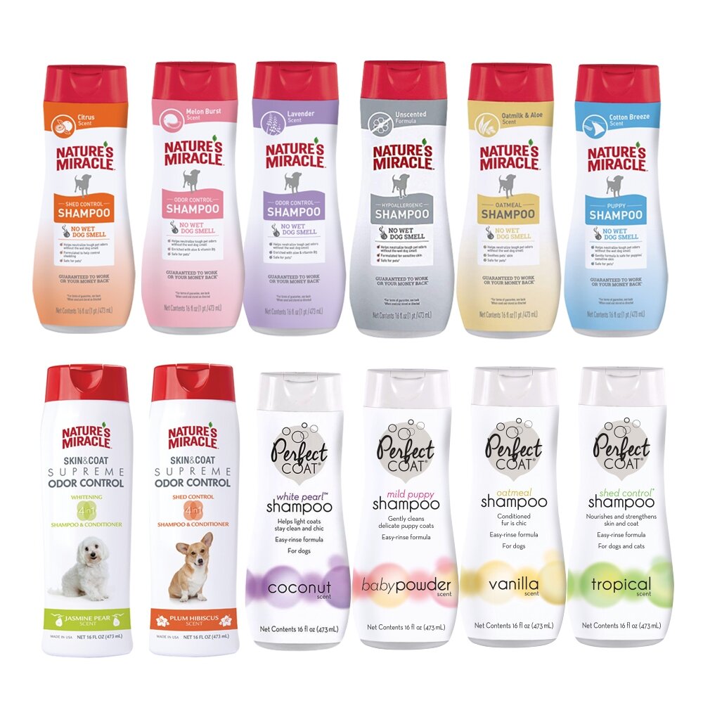 Cardinal 康蒂娜 果漾洗毛精 8in1 自然奇蹟 PC洗毛精 潤絲精 寵物洗毛精『WANG』-圖片-4