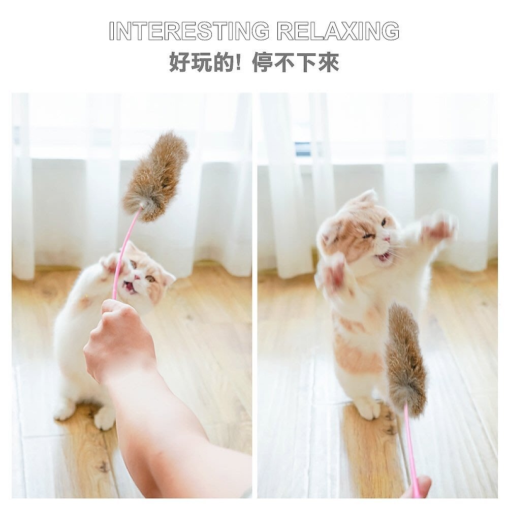 icat 寵喵樂 貓咪逗貓棒 彩色羽毛| 彩帶流蘇| 豹紋款 逗貓棒 不挑顏色 隨機出貨『WANG』-圖片-5