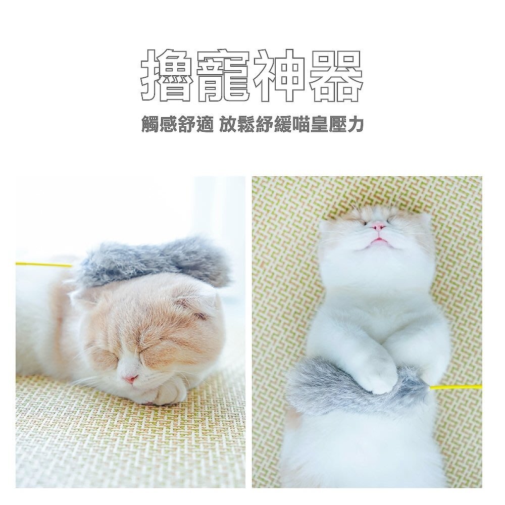 icat 寵喵樂 貓咪逗貓棒 彩色羽毛| 彩帶流蘇| 豹紋款 逗貓棒 不挑顏色 隨機出貨『WANG』-圖片-6