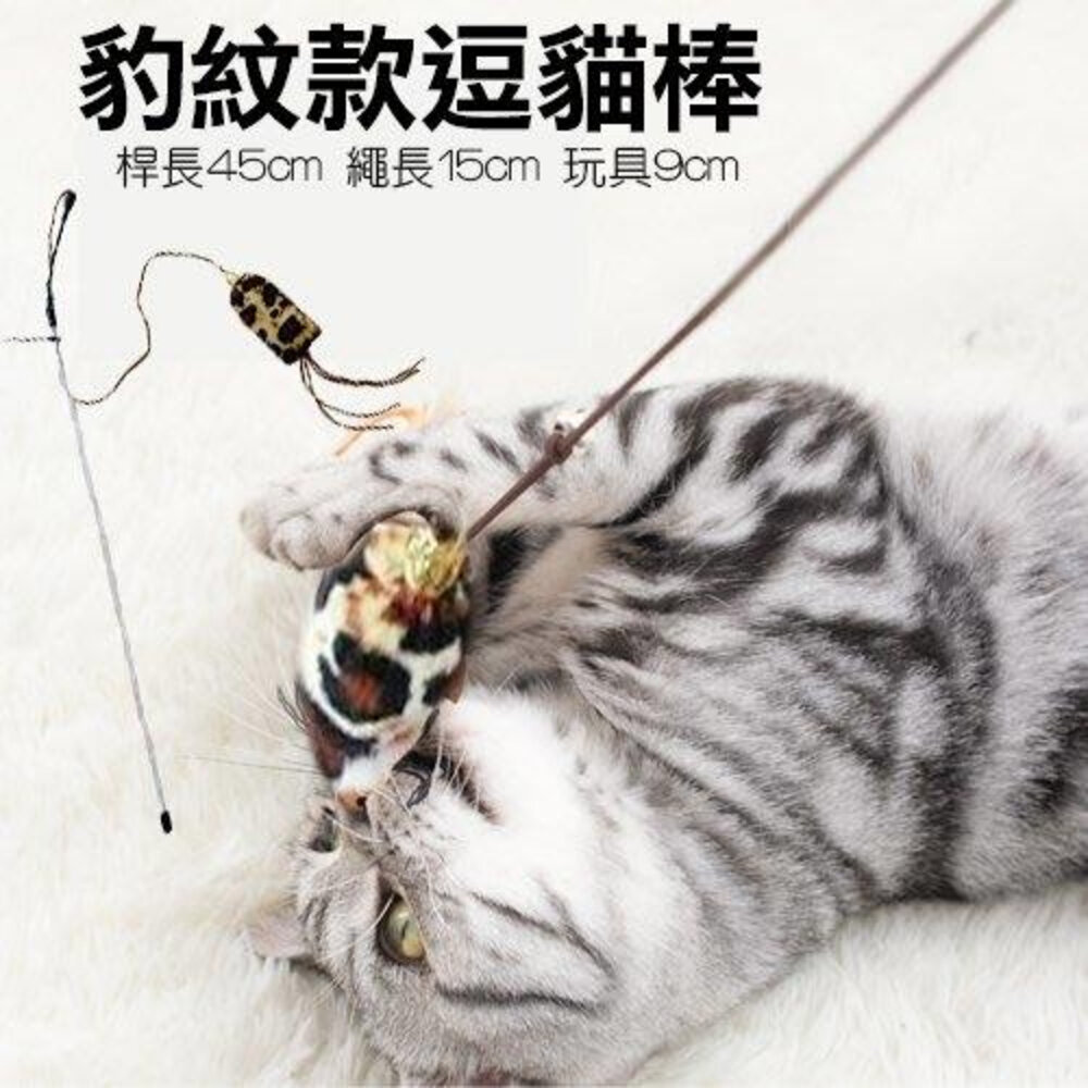 icat 寵喵樂 貓咪逗貓棒 彩色羽毛| 彩帶流蘇| 豹紋款 逗貓棒 不挑顏色 隨機出貨『WANG』-圖片-7