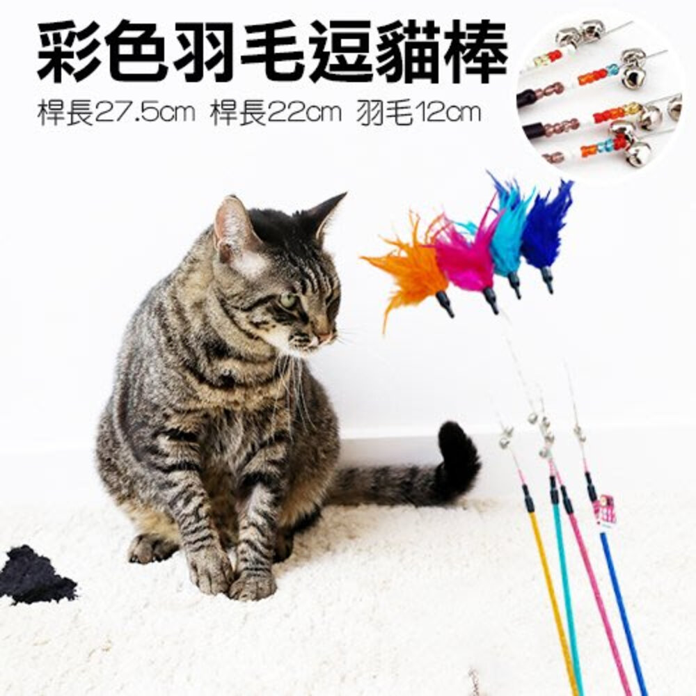 icat 寵喵樂 貓咪逗貓棒 彩色羽毛| 彩帶流蘇| 豹紋款 逗貓棒 不挑顏色 隨機出貨『WANG』-圖片-9