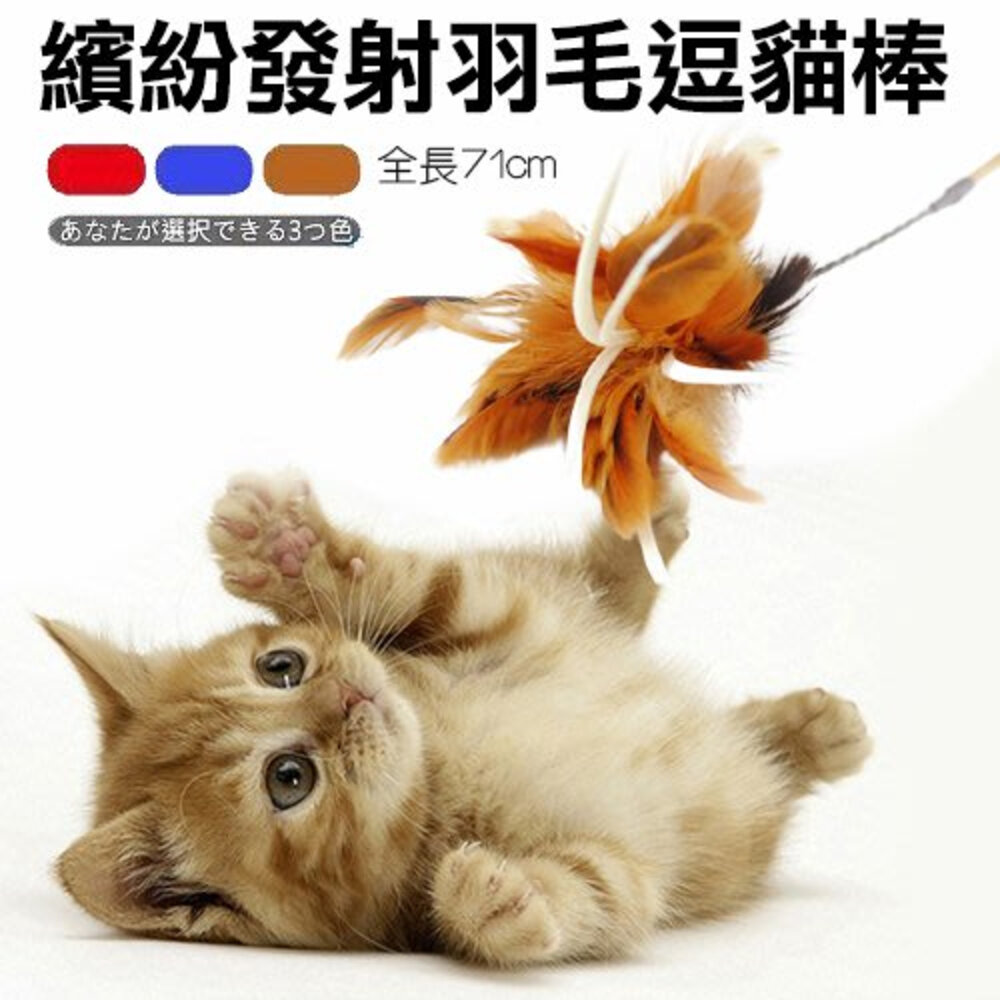 11435980040-icat 寵喵樂 貓咪逗貓棒 彩色羽毛｜ 彩帶流蘇｜ 豹紋款  逗貓棒 不挑顏色 隨機出貨『WANG』