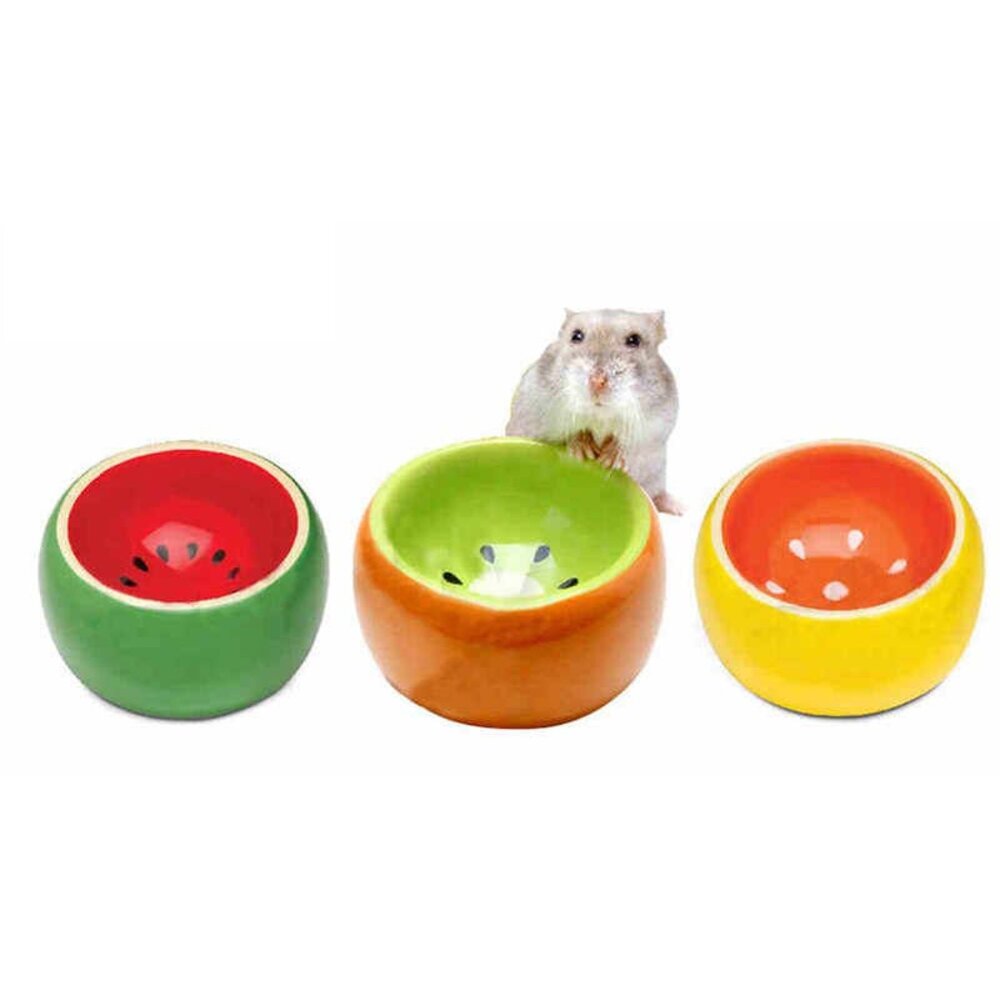 Jolly 祖莉 鮮果樂美食碗 西瓜 奇異果 西柚 倉鼠適用『WANG』-圖片-1