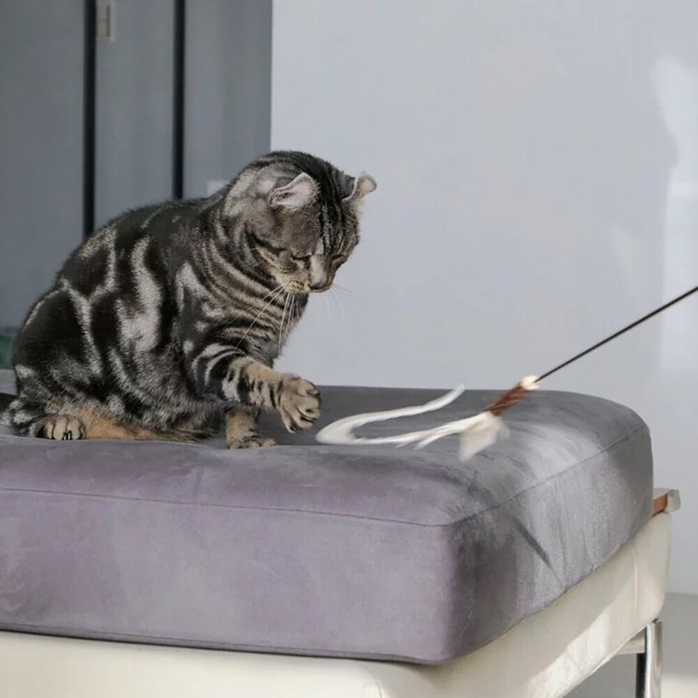 CATWANT 貓咪旺農場 超長木天蓼羽毛逗貓棒 伸縮版 貓棒接頭 貓玩具 逗貓棒『WANG』-圖片-6