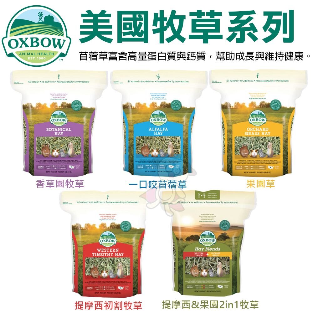 120737339-美國 OXBOW 美國牧草 15oz-40oz 香草園/苜蓿/提摩西初割/果園2in1 小動物牧草『WANG』