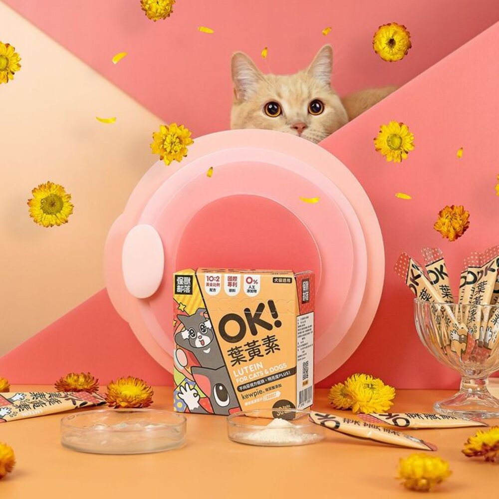 怪獸部落 陪心寵糧 犬貓保養【單包體驗】腸胃保健 益生菌 葉黃素 軟骨素 蔓越莓 元氣鐵『WANG』-圖片-5