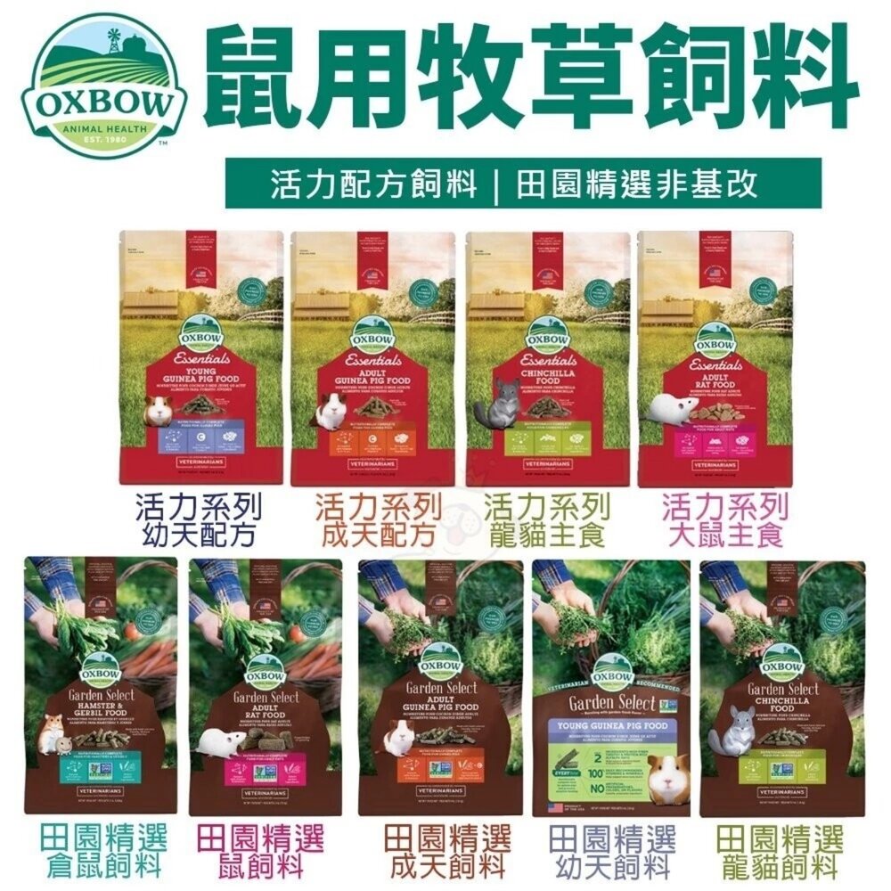 美國 OXBOW 鼠飼料 活力配方 田園精選非基改 豐富百匯高纖糧 倉鼠 天竺鼠 龍貓 小動物飼料『WANG』-圖片-2