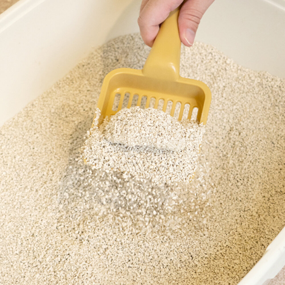 汪喵星球 益生菌消臭豆腐砂 無痕砂 瞬凝木薯砂 泌尿健康檢測隱血砂 條型|米粒型 隱血砂 貓砂『WANG』-圖片-9