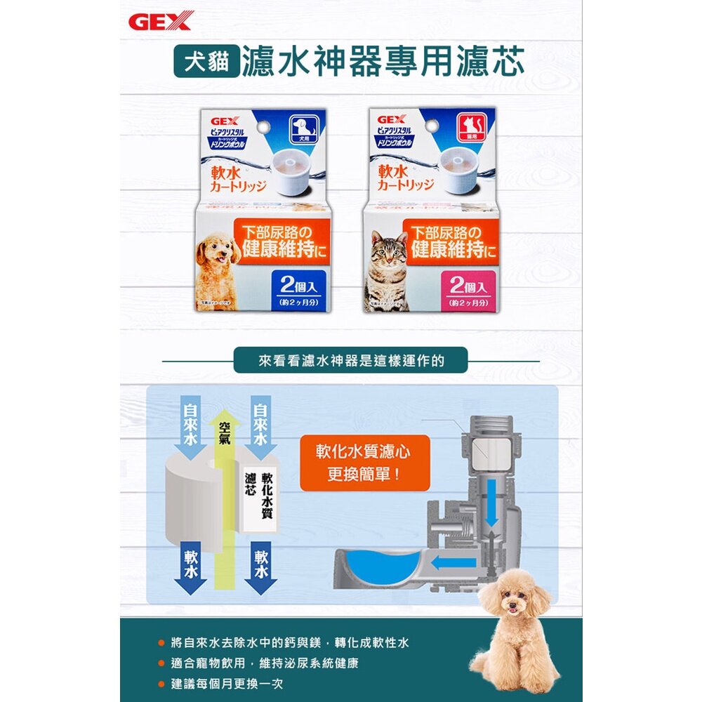 GEX 犬貓濾水神器 專用濾芯 替換配件 犬貓用淺皿/兔用 讓寵物更容易飲用 寶特瓶專用『WANG』-圖片-4