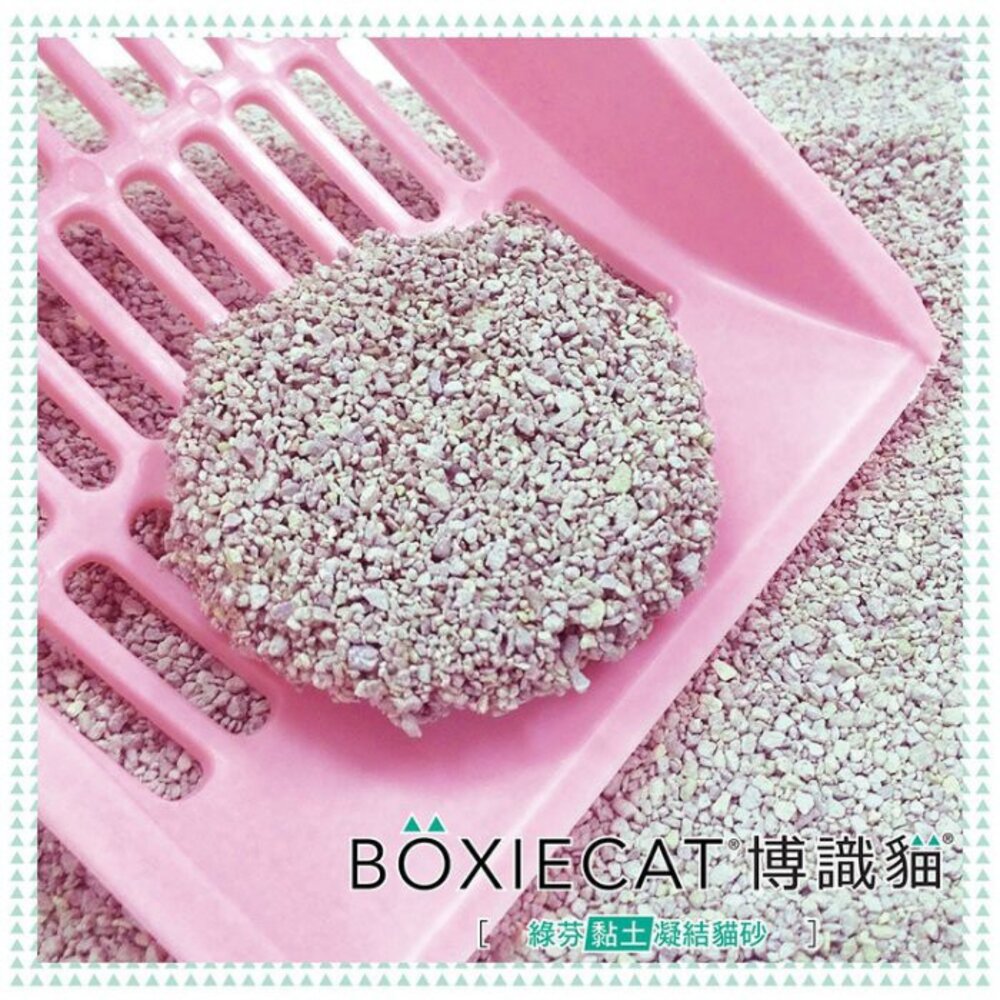 美國 博識貓 BOXIECAT 16磅-28磅【兩包組免運】無粉塵 貓砂『WANG』-圖片-4