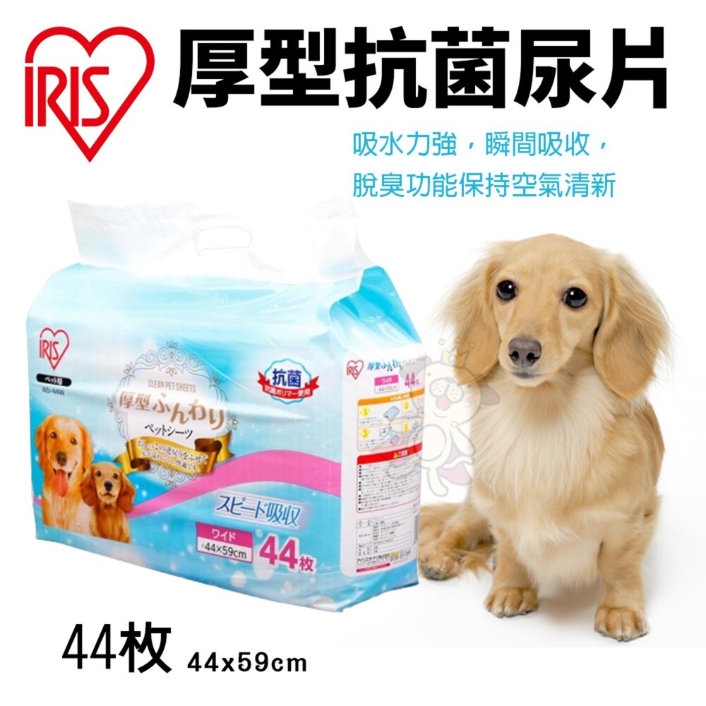 1407659938-日本 IRIS 犬貓尿布墊 AS-44厚型抗菌尿片 44片 寵物尿布墊『WANG』