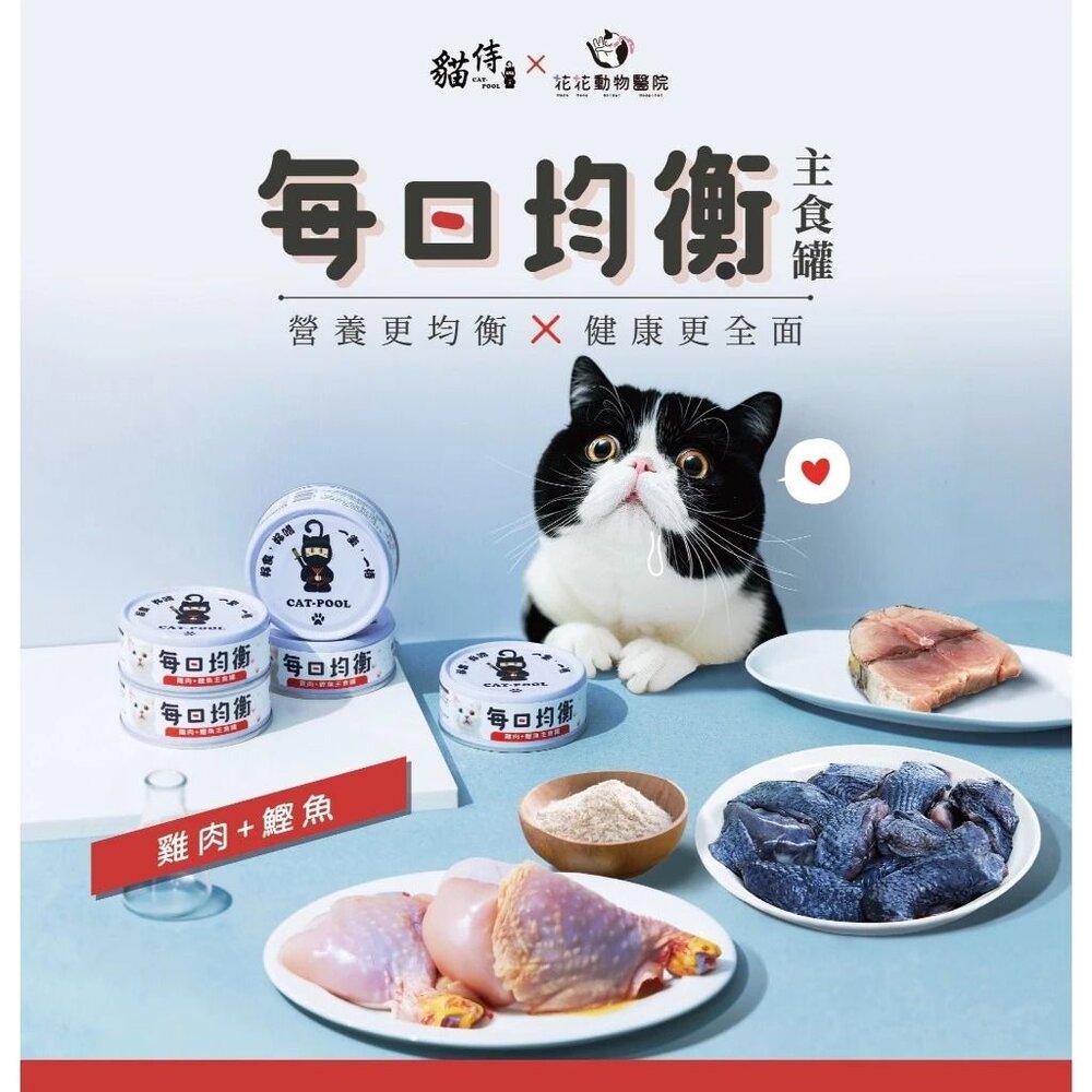 Catpool 貓侍 貓罐頭【多罐組】花花動物醫院 每日均衡主食罐 寵研工坊 幼貓羊咩咩主食罐『WANG』-圖片-8