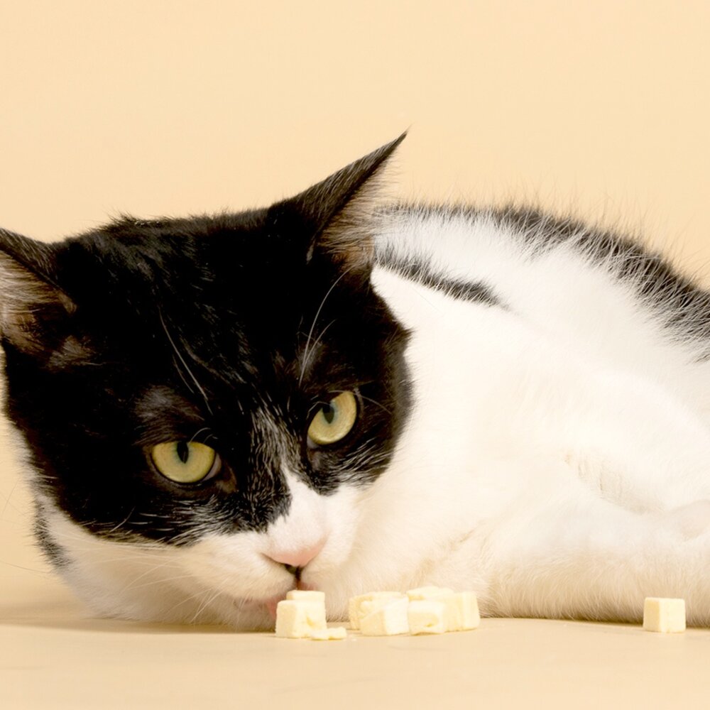 HeroMama 倆小丁雙拼凍乾零食 蒸鮮棒棒腿 鎖住新鮮好滋味 犬貓零食『WANG』-圖片-5