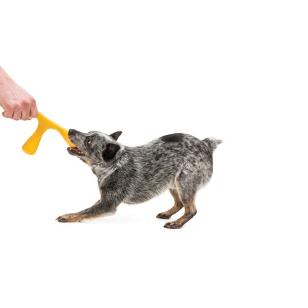 美國 West Paw 互動玩具系列 環保材質 可咬取 浮水 拋擲 狗玩具『WANG』-圖片-6