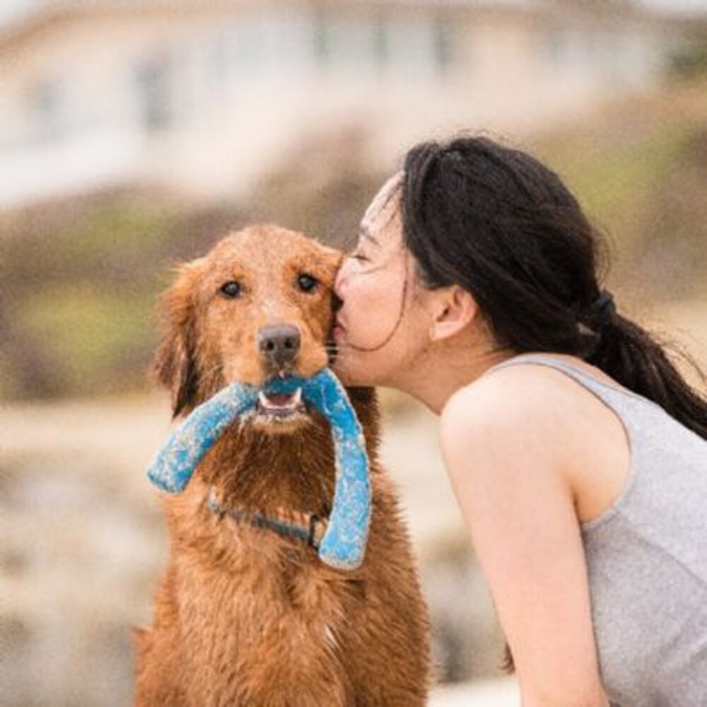 美國 West Paw 互動玩具系列 環保材質 可咬取 浮水 拋擲 狗玩具『WANG』-圖片-9
