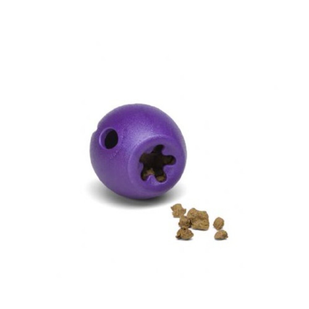 美國 West Paw 塞食系列 環保材質 可咬取 浮水 拋擲 狗玩具『WANG』-圖片-4