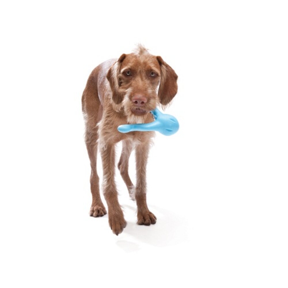 美國 West Paw 塞食系列 環保材質 可咬取 浮水 拋擲 狗玩具『WANG』-圖片-7