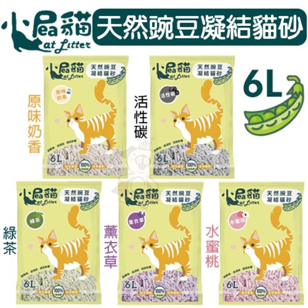 小屁貓 天然豌豆凝結貓砂6L【6包組免運】無化學香料 環保低塵 瞬吸凝結力強 貓砂『WANG』-圖片-2