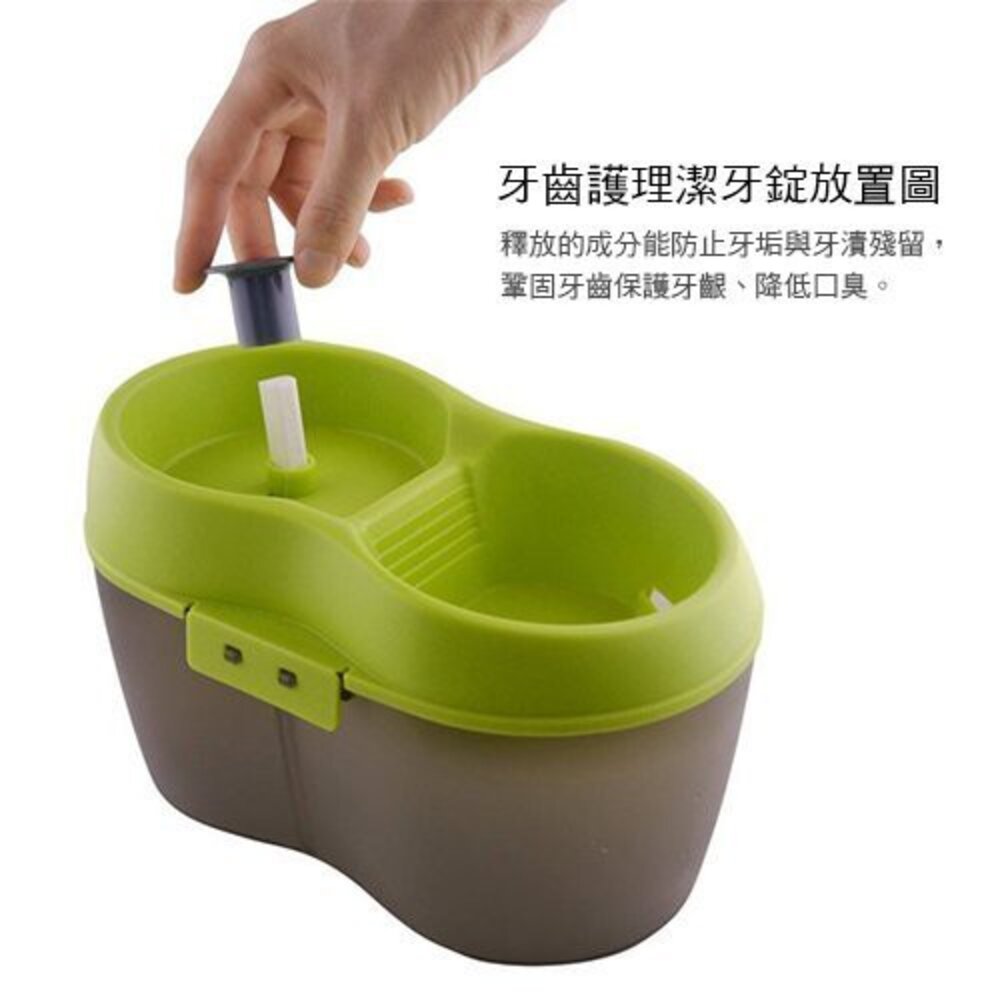 Dog&Cat H2O 有氧濾水機 時尚白 1.2L 寵物飲水機 循環式犬貓有氧濾水機 飲水機 活水機『WANG』-圖片-11