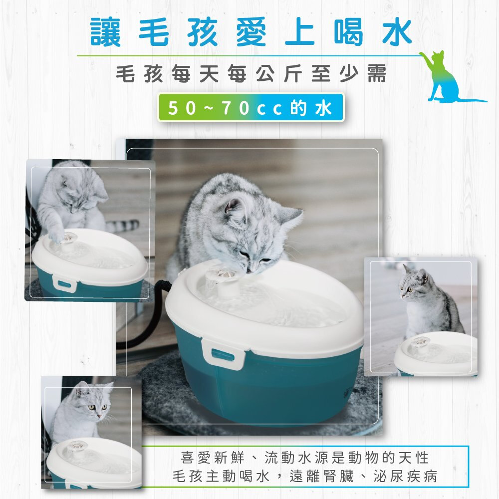Dog&Cat H2O 有氧濾水機 時尚白 1.2L 寵物飲水機 循環式犬貓有氧濾水機 飲水機 活水機『WANG』-圖片-3