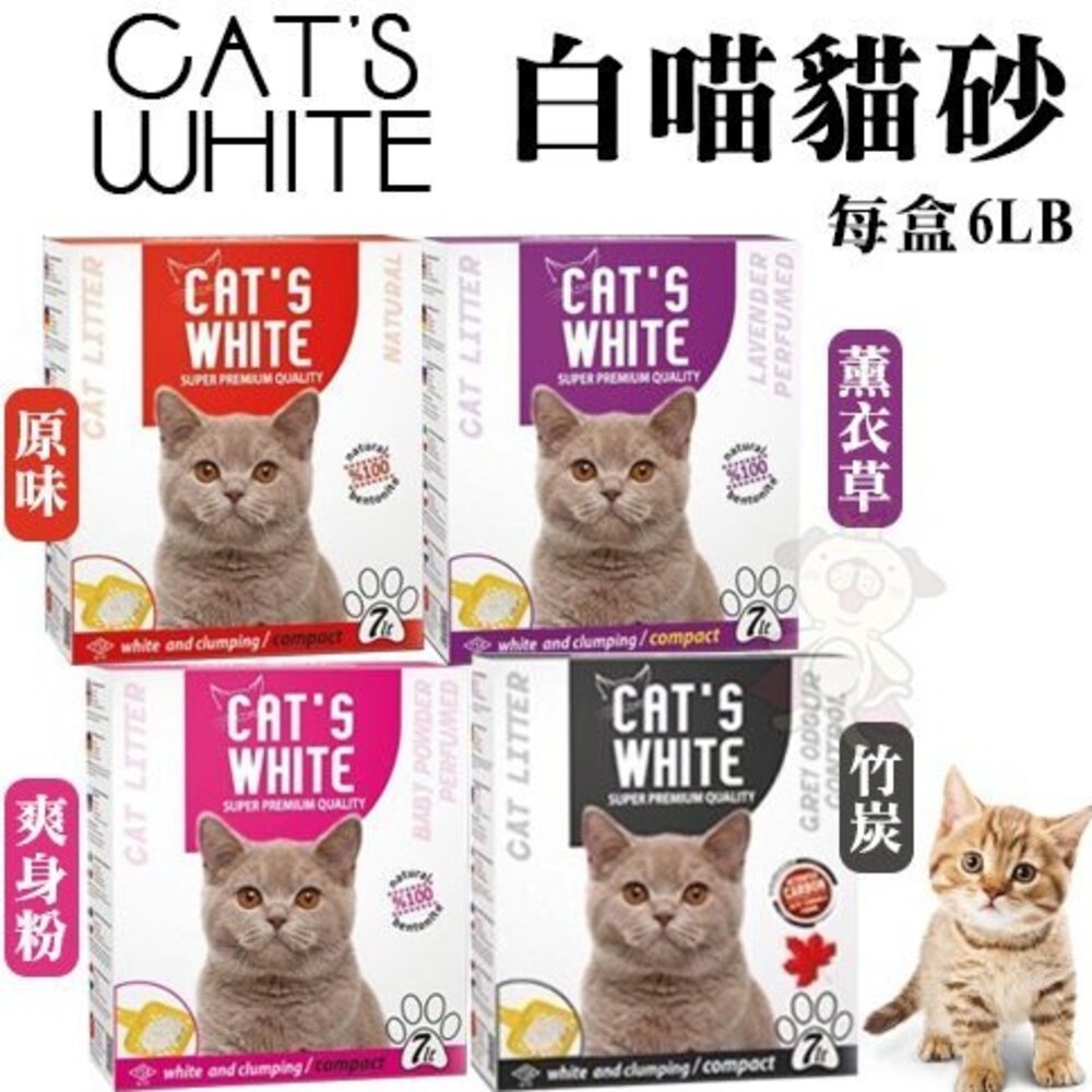 1556959408-CATS WHITE 白喵貓砂 6LB【4盒組免運】膨潤土凝結貓砂 貓砂 礦物砂 膨潤土 凝結貓砂『WANG』