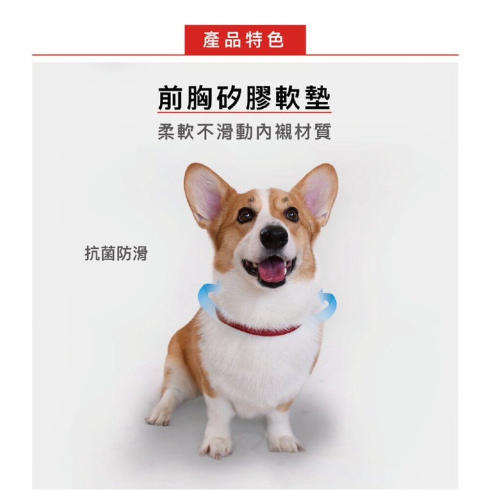 EZYDOG 八字訓練胸背帶 XS-XL號 不卡腋下 反光設計 一拉就停 防暴衝 犬用『WANG』-圖片-2