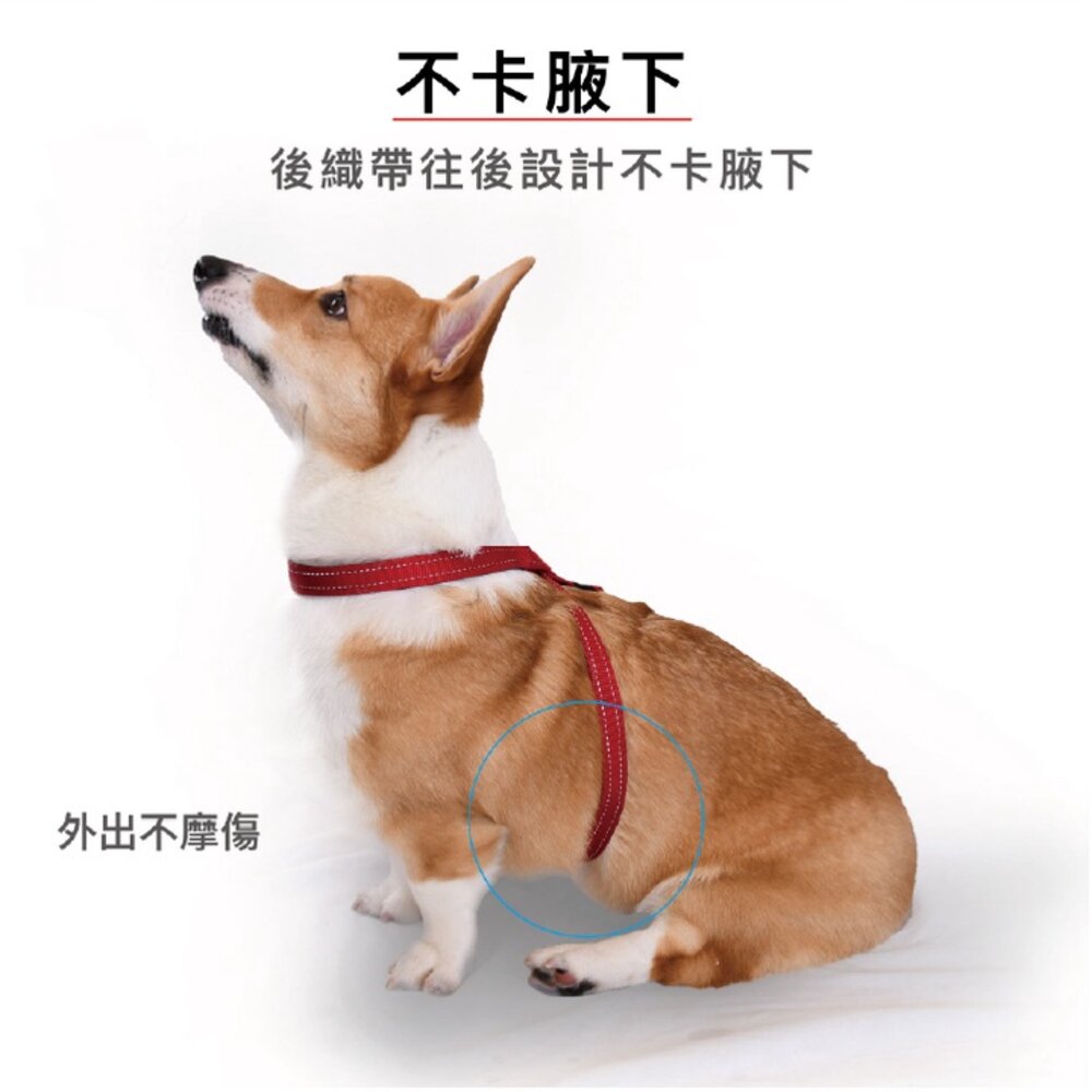 EZYDOG 八字訓練胸背帶 XS-XL號 不卡腋下 反光設計 一拉就停 防暴衝 犬用『WANG』-圖片-4