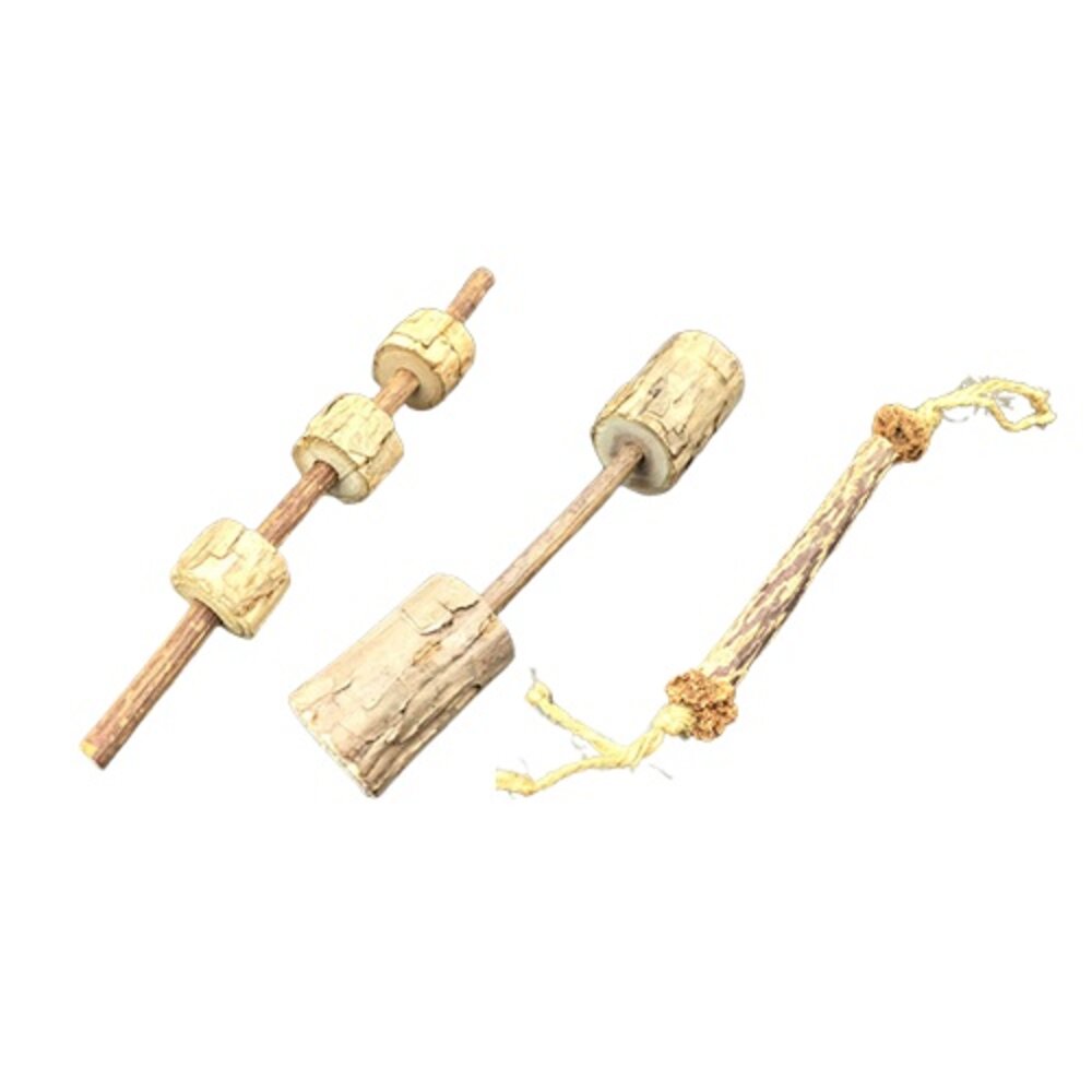 自然鮮 木天蓼貓薄荷 潔牙棒/肉串/健身球/小掃帚/蛋捲/冰棒 貓潔牙棒『WANG』-圖片-4