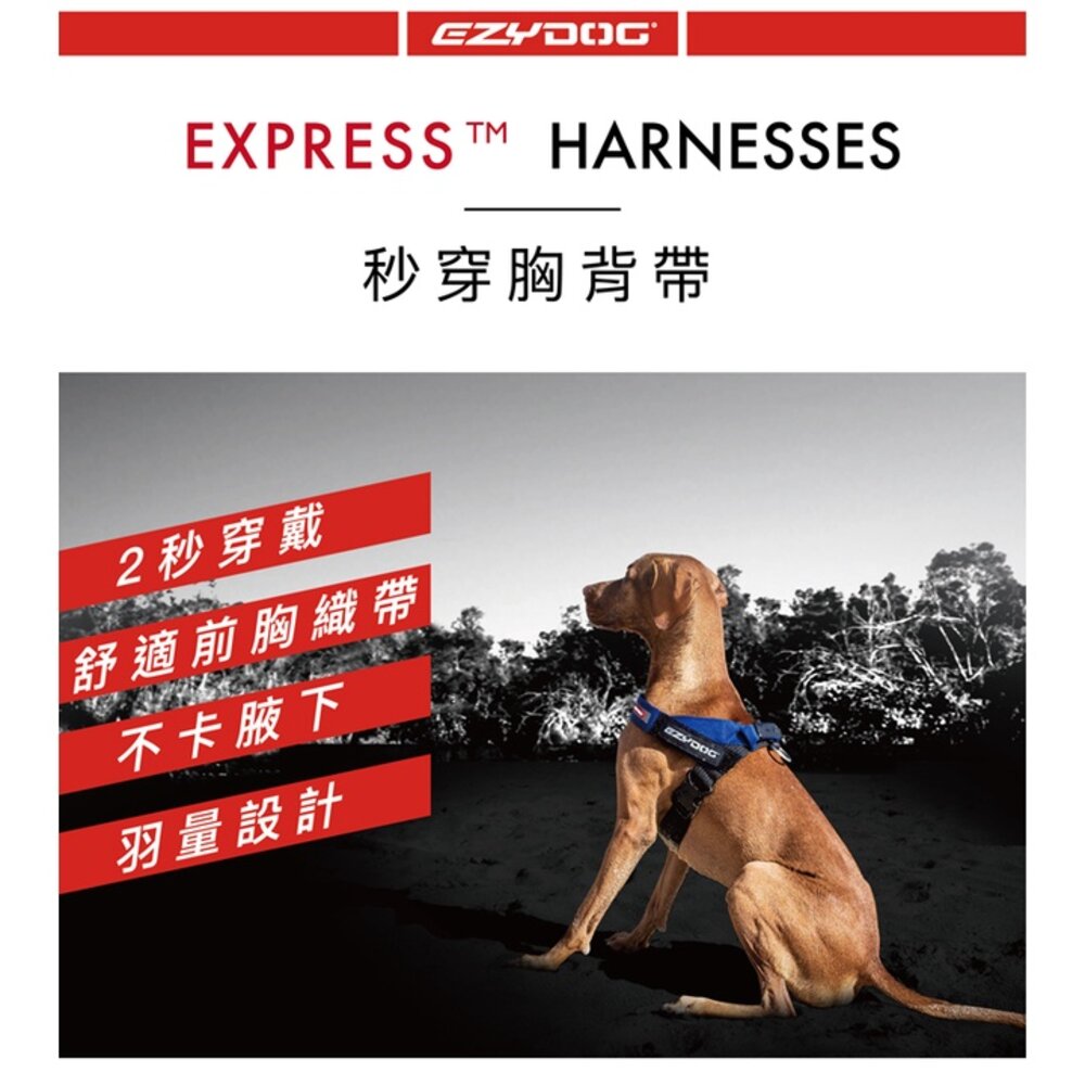 EZYDOG 秒穿胸背帶 XS-XXL號 最適合跑步穿戴 適用於所有體型的狗狗 狗胸背帶 犬用『WANG』-圖片-2