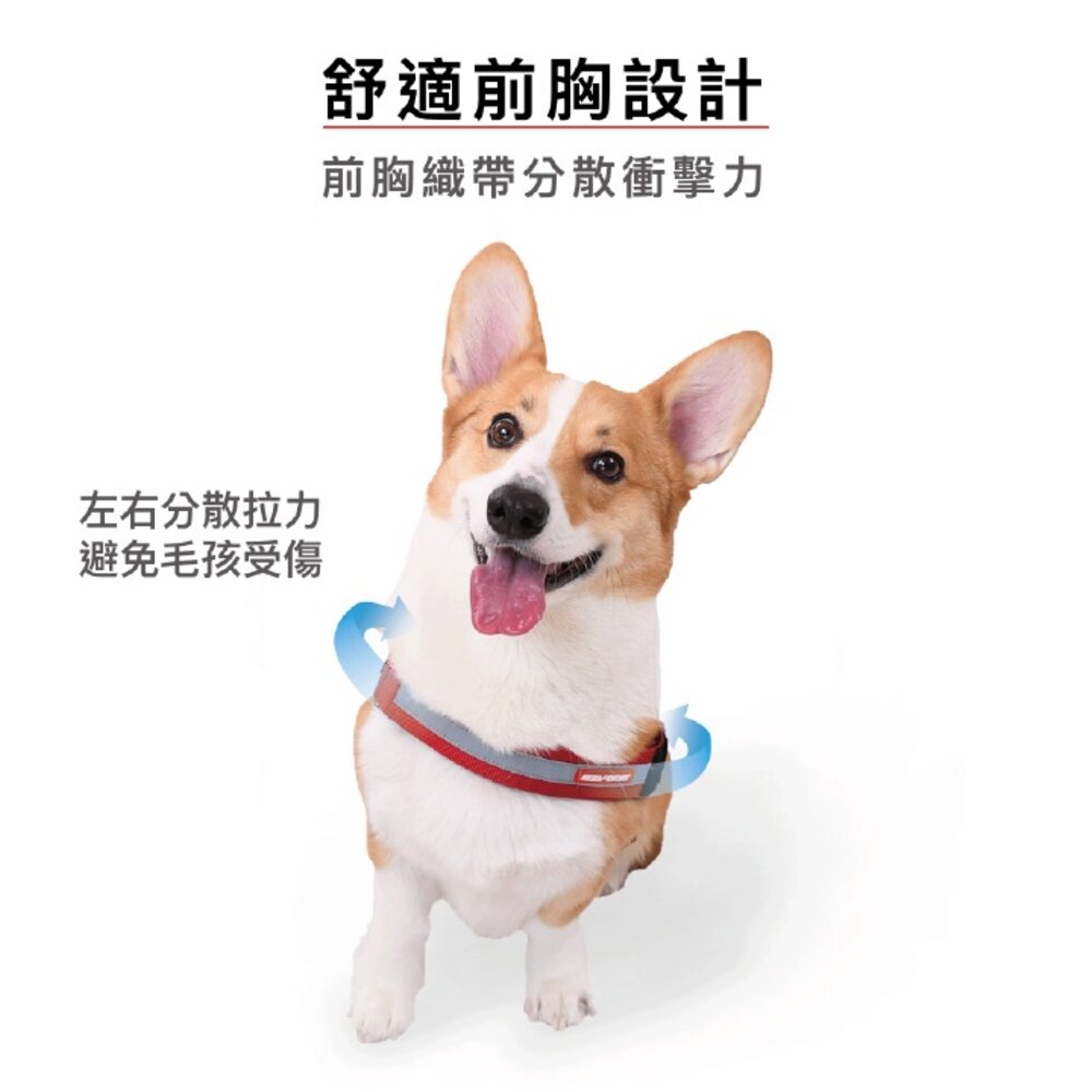 EZYDOG 秒穿胸背帶 XS-XXL號 最適合跑步穿戴 適用於所有體型的狗狗 狗胸背帶 犬用『WANG』-圖片-4