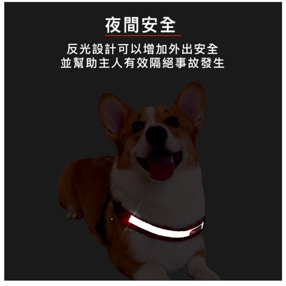 EZYDOG 秒穿胸背帶 XS-XXL號 最適合跑步穿戴 適用於所有體型的狗狗 狗胸背帶 犬用『WANG』-圖片-8