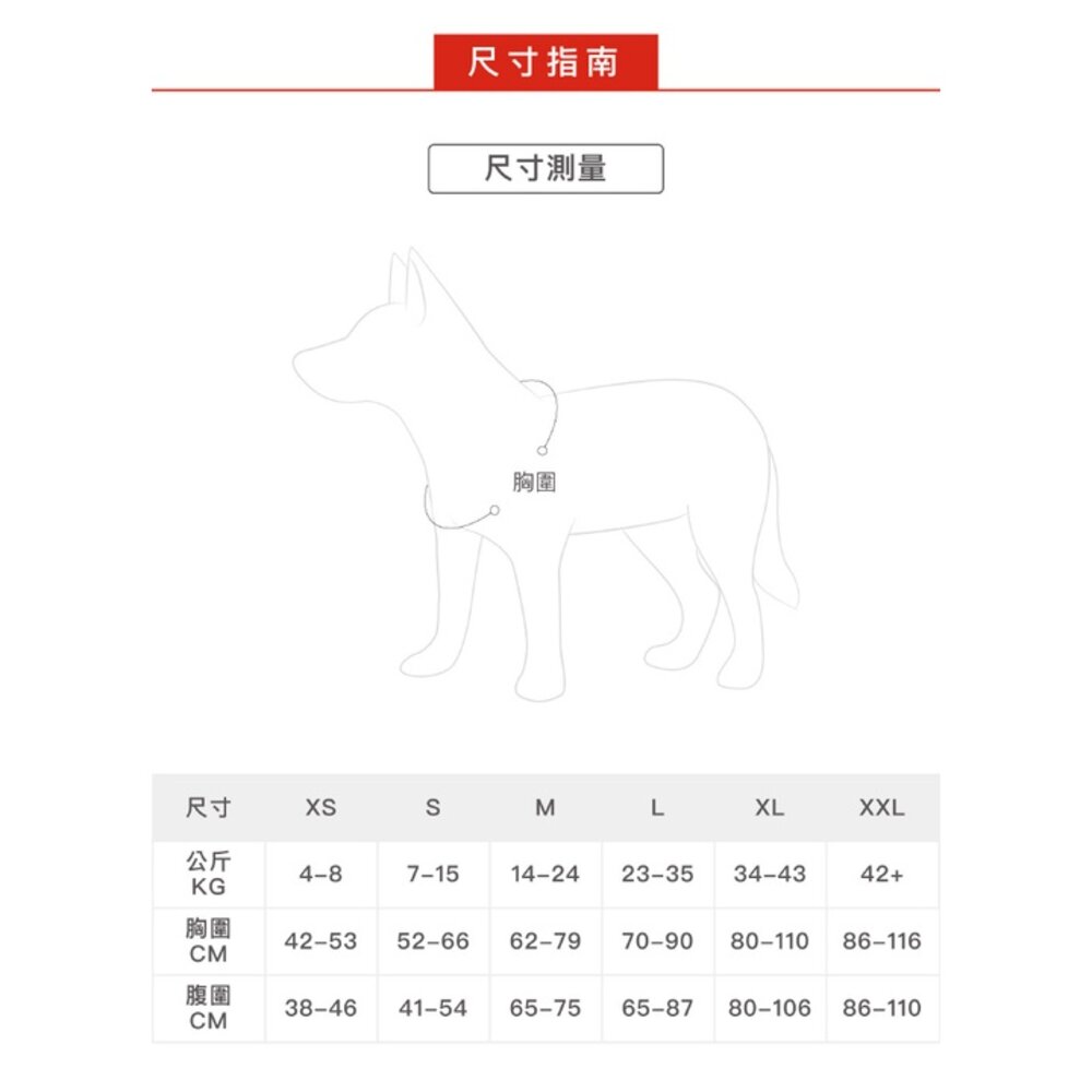 EZYDOG 秒穿胸背帶 XS-XXL號 最適合跑步穿戴 適用於所有體型的狗狗 狗胸背帶 犬用『WANG』-圖片-9