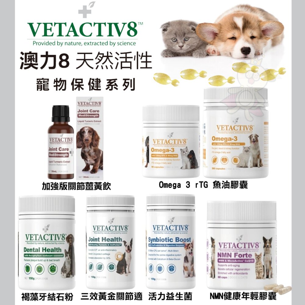 藥草醫家 澳力8 天然活性寵物保健 植物酵素益生菌 草本急救噴霧 牙齦健康護理液 魚油膠囊 褐藻牙結石粉『WANG』-圖片-4