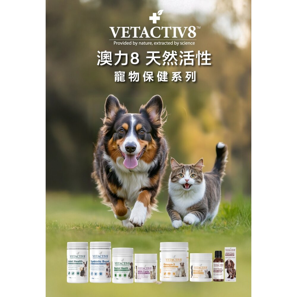 藥草醫家 澳力8 天然活性寵物保健 植物酵素益生菌 草本急救噴霧 牙齦健康護理液 魚油膠囊 褐藻牙結石粉『WANG』-圖片-6