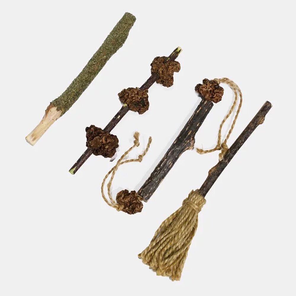 CATWANT 貓咪旺農場 木天蓼手工磨牙玩具 貓薄荷冰棒 蟲癭粿冰棒 貓玩具 貓零食『WANG』-圖片-1