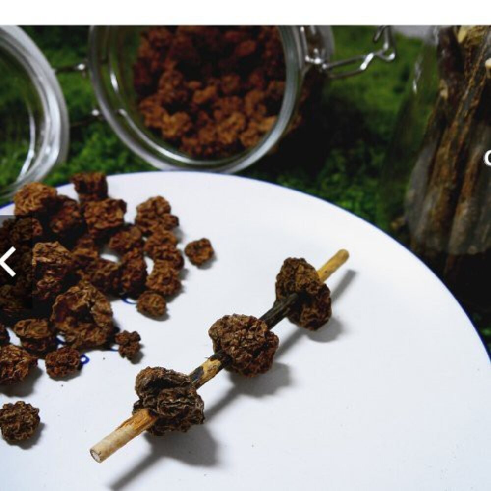 CATWANT 貓咪旺農場 木天蓼手工磨牙玩具 貓薄荷冰棒 蟲癭粿冰棒 貓玩具 貓零食『WANG』-圖片-2