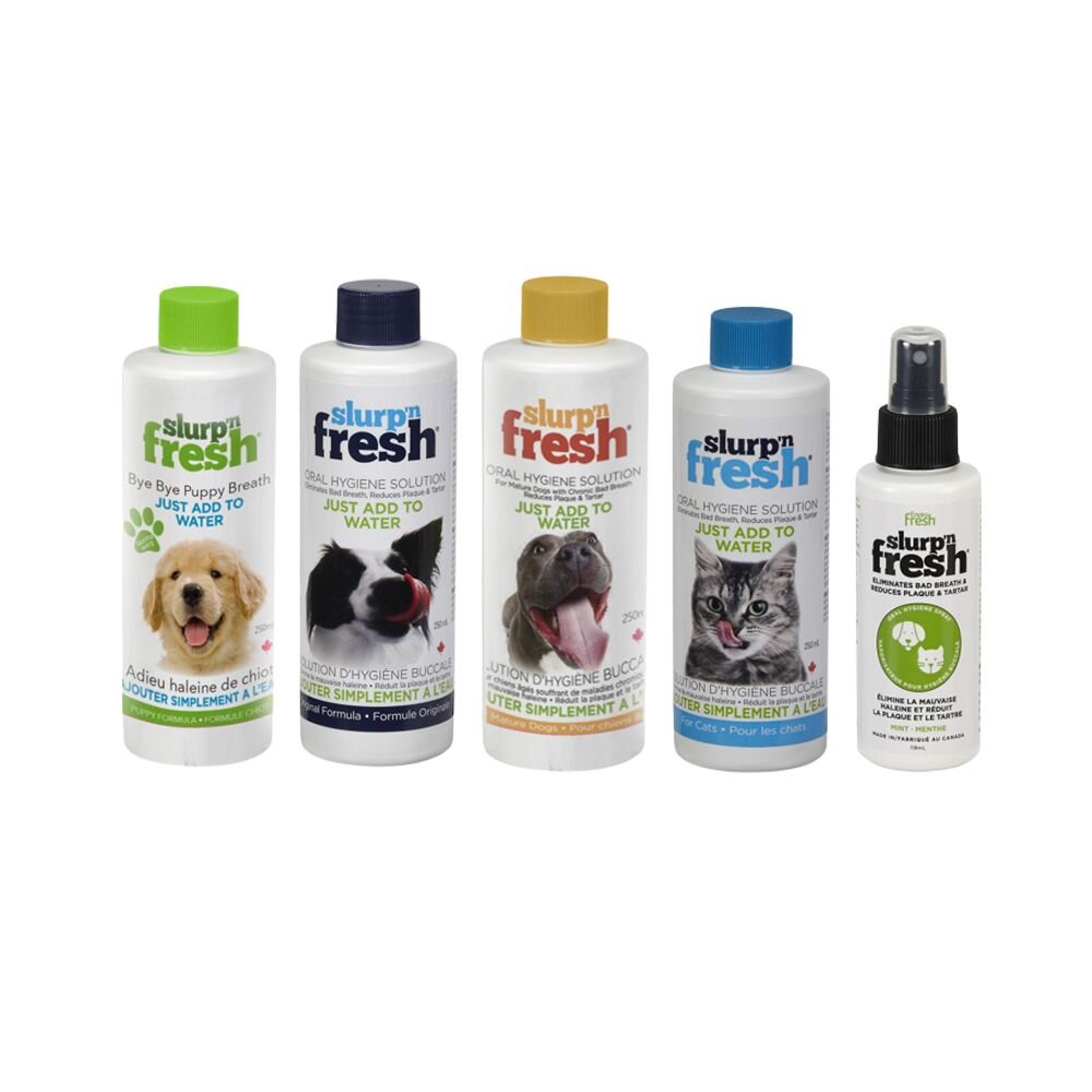 莎賓 Darford 寵物潔牙系列 潔牙水 潔牙噴霧 漱口水 維持口腔清潔 犬貓用 『WANG』-圖片-1